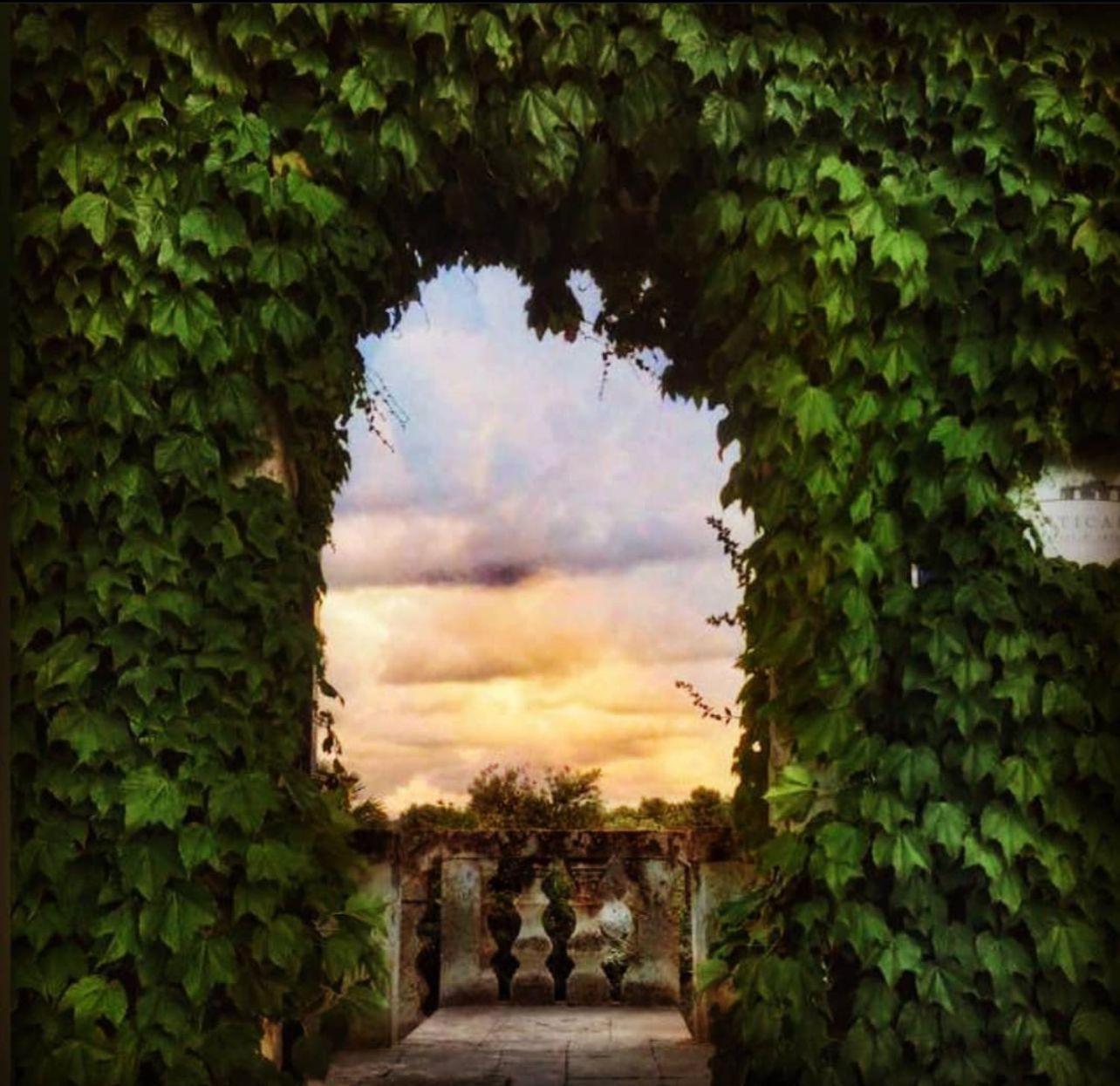 Masseria Anticalama Resort & Agriturismo فاسانو المظهر الخارجي الصورة