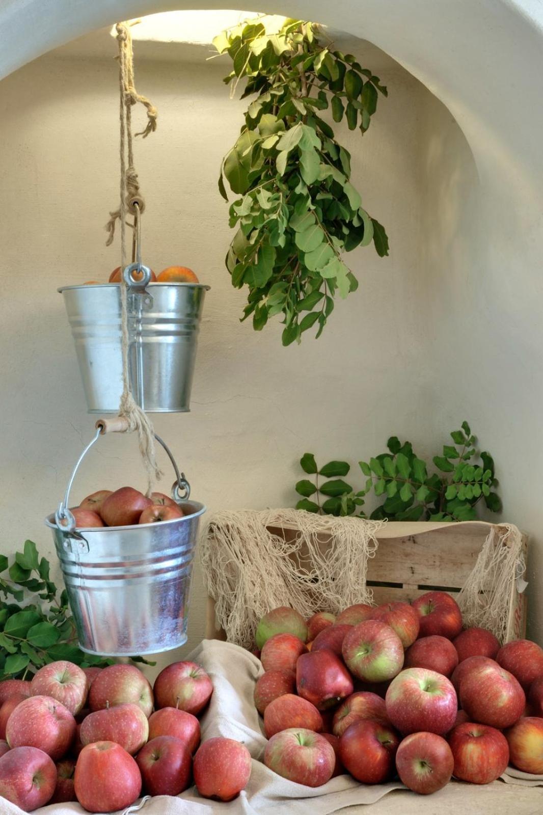 Masseria Anticalama Resort & Agriturismo فاسانو المظهر الخارجي الصورة